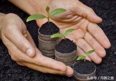 盒馬鮮生正在潛移默化的整合客流 盒馬鮮生正在潛移默化的整合客流